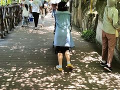 -南山植物园
