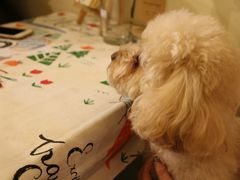 -树洞咖啡(科大店)