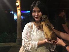 -清迈夜间动物园