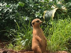 -云南野生动物园