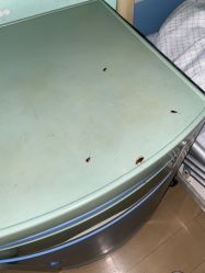 -上海市儿童医院(泸定路院区)