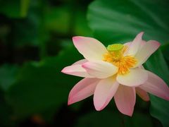 -太湖湖滨国家湿地公园-停车场