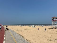-日照海滨国家森林公园
