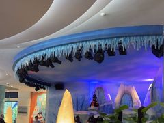 -帝企鹅自助餐厅•儿童岛•真企鹅(长隆企鹅酒店)