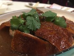港式烧鹅-顺德渔村·岭南一号
