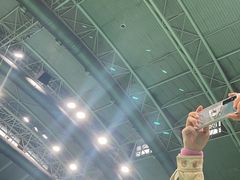 -华中科技大学光谷体育馆