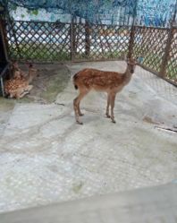 -萌宠亲子动物乐园(槐房万达店)