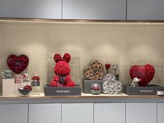 -ROSEONLY诺誓(磐基中心店)