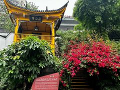 -泸州老窖景区