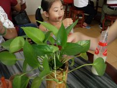 -初记正宗云吞面