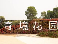 -光明小镇欢乐田园