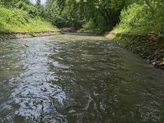 -天目湖松岭竹海漂流