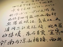 -长药唐师乐山油炸(石人直营店)