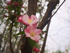 -东升八家郊野公园