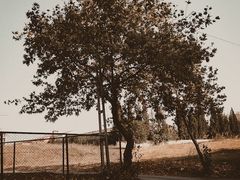 -维乐口腔医院(福清院)