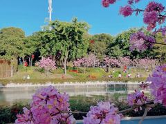 -马峦山郊野公园