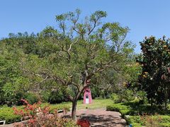 -广州白江湖森林公园