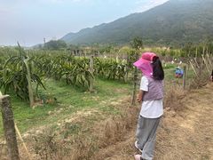 -开平碉楼文化旅游区马降龙景区