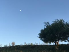 -乌兰布统草原
