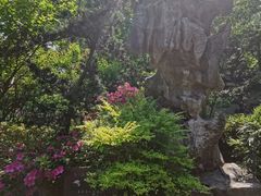 -汇龙潭