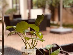 -桃源咖啡厅(武夷山大红袍山庄店)