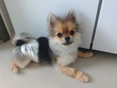 -天宠宠物医院24小时·急重症诊疗中心·全科·腔镜特色(和平分院)