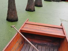 -渌洋湖湿地公园