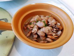 鸡汁发芽豆-骏莱海鲜鱼港(五角场店)