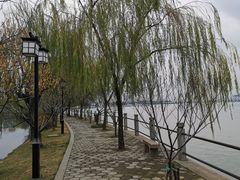 -无锡蠡湖国家湿地公园-蠡园