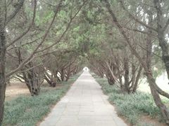 -洛阳古墓博物馆