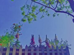 -萤火虫咖啡(后海店)