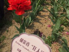 -江南大学(蠡湖校区)