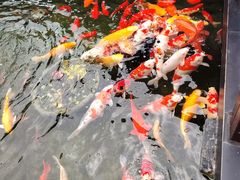-濮园 · 四合院餐厅
