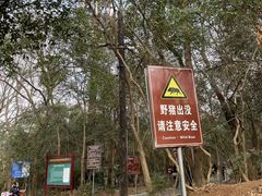 -紫金山天文台
