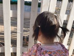 -前小桔亲子创意农场·草莓采摘·露营烧烤