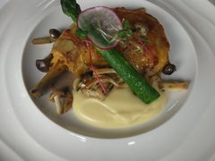 -蝶舍·MAISON PAPILLON