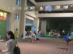 -苏州乐园森林水世界