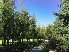 -大连市第二十四中学