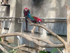 -大连森林动物园