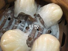 -阿弟早茶大排档(九村店)