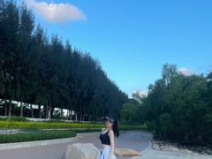 -宝安西湾红树林湿地公园