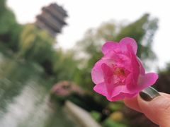 -咱家王新国把子肉(县东巷店)