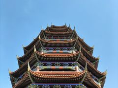 -铁山坪森林公园