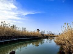 -泗洪洪泽湖湿地景区