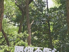 -杭州植物园