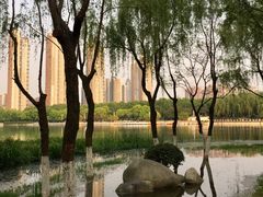 -后襄河公园