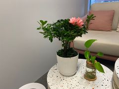 -安肯心理咨询(长宁旗舰店)