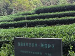 -蜜雪冰城(浙江大学店)