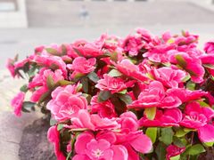 -哈尔滨规划展览馆