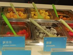 -Salud撒露欧洲冻酸奶(蓝色港湾店)